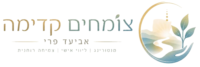 וגו סופי